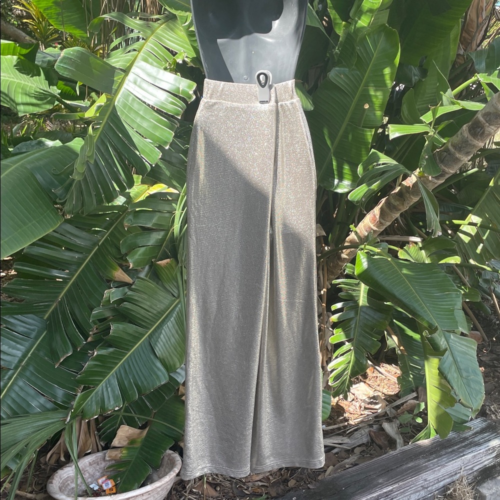 Boston proper silver lame wide leg pants